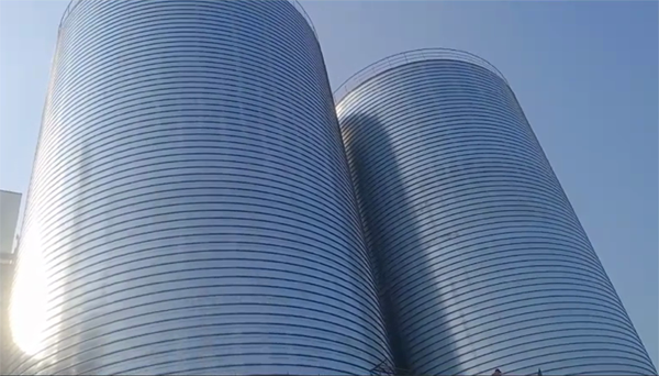 五家渠2座混凝土高架卷板仓